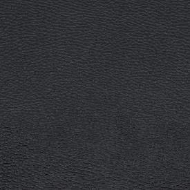 Black #5 Leather Swatch