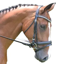 Black Oak by KL Select Magnolia Dressage Bridle