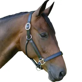 Black Oak by KL Select Sycamore Halter