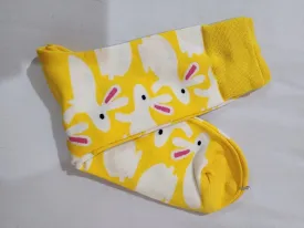 Colourful socks - rabbit in the sun