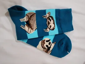 Colourful socks - slot