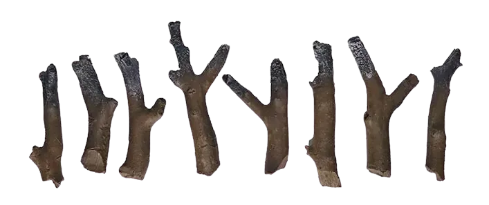 Remii 8 piece Log Set for Extra Slim Units