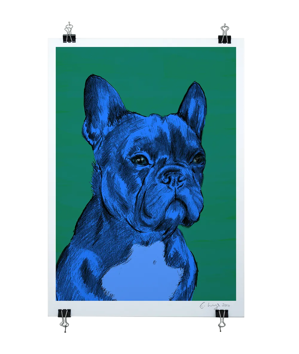 The French Bulldog - Evie Kemp